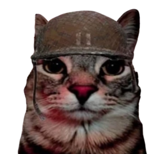 Foto del perfil de César Aarón Guitz López