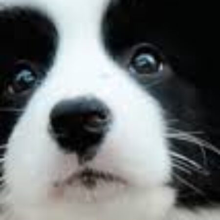 Foto del perfil de willy