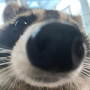 Foto del perfil de Fernanda García